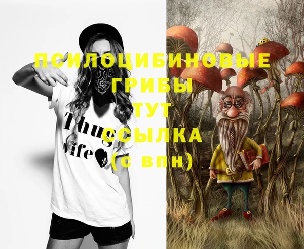бошки Козельск