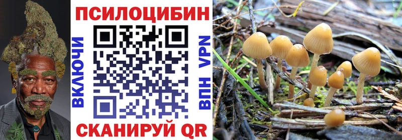 Галлюциногенные грибы мицелий  Сычёвка 